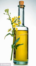 Sử dụng dầu ăn đúng cách có lợi sức khỏe