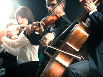 Chơi nhạc cụ kích hoạt các gien học tập và ghi nhớ