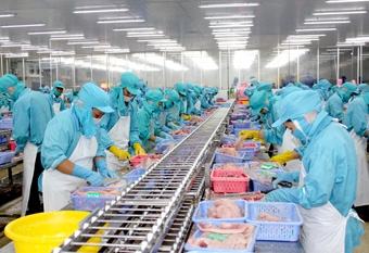 Giải quyết những bất cập để phát triển 
bền vững khu công nghiệp