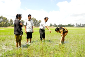 NHIỀU GIẢI PHÁP PHÁT TRIỂN KINH TẾ, GIÚP DÂN THOÁT NGHÈO