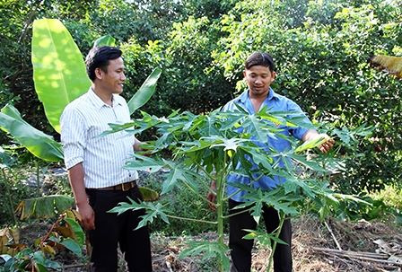 Đâu cần thanh niên có
