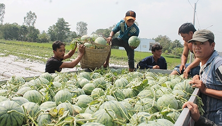 Thúc đẩy để tăng tốc phát triển kinh tế - xã hội