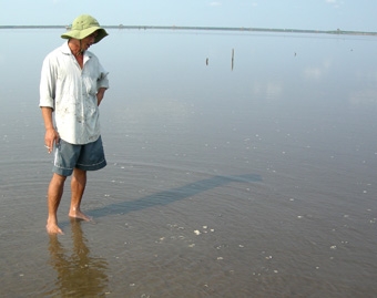 Nghêu chết “trắng” 
gây thiệt hại lớn cho người dân
