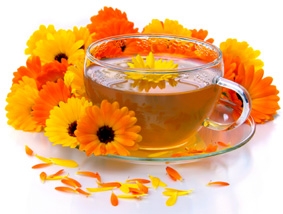 Những lợi ích sức khỏe diệu kỳ từ cúc vạn thọ