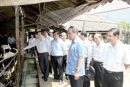 Cần phát huy vai trò tích cực của hợp tác xã trong quá trình hội nhập quốc tế