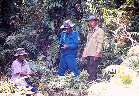 Nóng bao trùm U Minh hạ