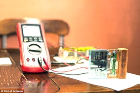 Sản xuất pin năng lượng Mặt trời từ thực vật