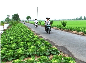 Chung sức xây dựng nông thôn mới