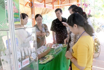 Liên kết phát triển bền vững ngành dừa