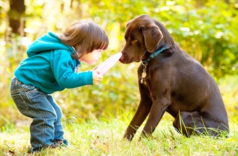 Muốn “kết bạn” với chó, hãy nhìn vào mắt!