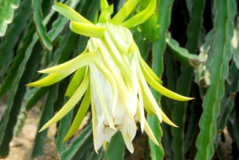 Cẩn trọng vẫn không thừa!