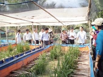 Còn nhiều khó khăn, thách thức