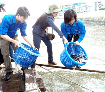 Cần sự góp sức của cả cộng đồng