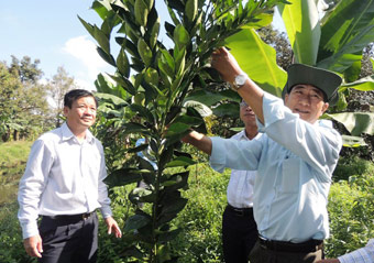 Nâng cao hiệu quả
sản xuất nông nghiệp