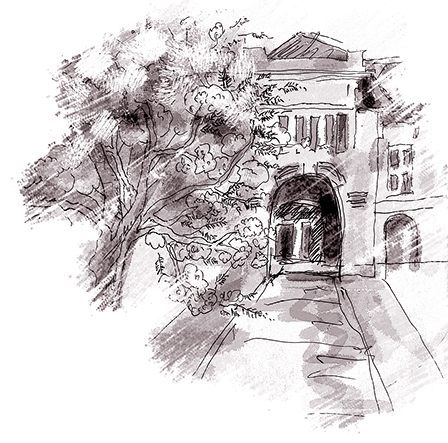 Phượng thắm trường xưa