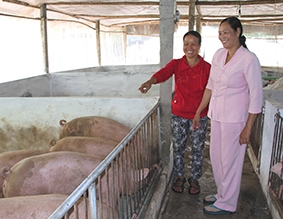 Đẩy mạnh việc học tập và làm theo 
tấm gương đạo đức Hồ Chí Minh