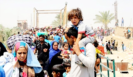 Cam go cuộc chiến chống IS