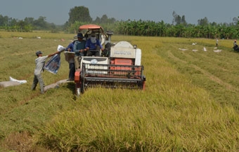 Gỡ “nút thắt” bằng chính sách