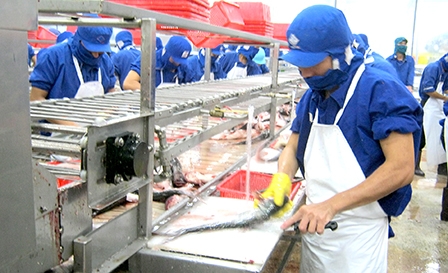 Giữ lượng, tăng chất, gắn kết thị trường thủy sản