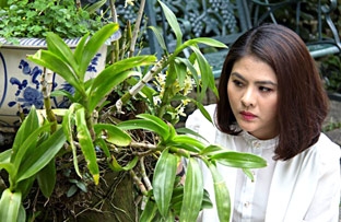 Nộ khí tràn ngập màn ảnh nhỏ