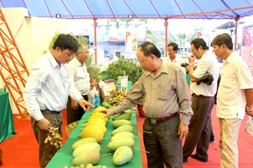 Nông sản sạch - Xu hướng tất yếu