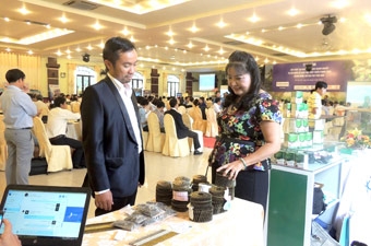 Tìm “điểm tựa” cho doanh nghiệp trẻ