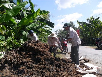 Quan tâm xây dựng tuyến đường sáng - xanh - sạch đẹp - an toàn