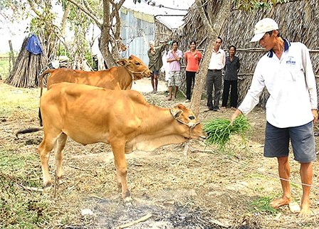 Mừng, lo trước giờ hội nhập