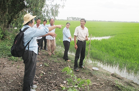 Phát huy lợi thế từng địa phương - Đưa kinh tế thành phố phát triển toàn diện