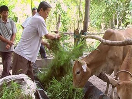 ឧបត្ថម្ភជនរួមជាតិសកម្មជាងទៀត  ដើម្បី​កាត់​បន្ថយ​គម្លាត​មាន​-​ក្រ  បានឆាប់​រហ័ស