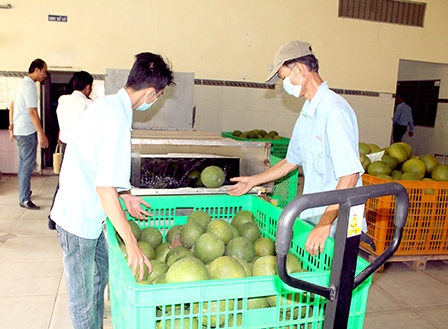 Nỗ lực thực hiện đạt và vượt các 
chỉ tiêu phát triển kinh tế-xã hội