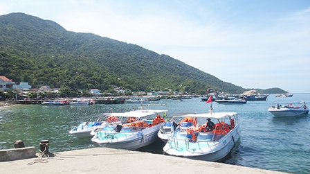 Thú vị cù lao Chàm