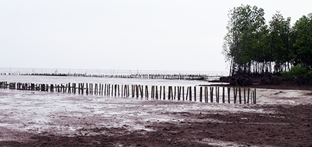 Những giải pháp phòng chống sạt lở 
ở Đồng bằng sông Cửu Long