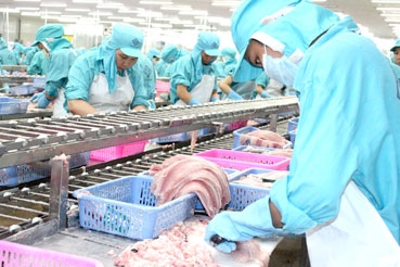 Được và mất 
trong hội nhập