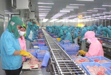 PHÁT TRIỂN NGÀNH CÁ TRA THEO HƯỚNG BỀN VỮNG