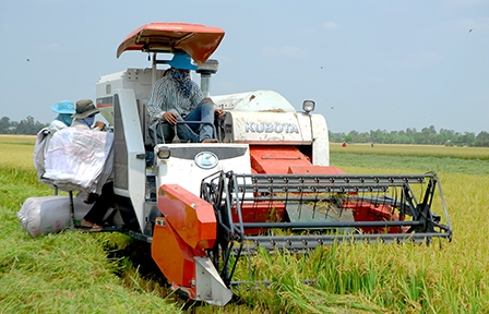 Cần đồng bộ, chắc tay