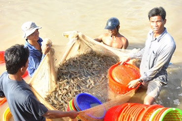 Gỡ khó cho vùng nuôi tôm