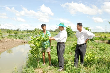 TÍCH CỰC TRIỂN KHAI ĐƯA NGHỊ QUYẾT
CỦA ĐẢNG VÀO CUỘC SỐNG
