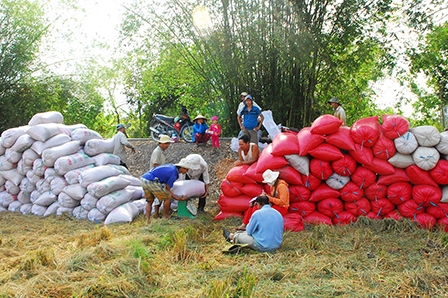 Liên kết:  “Chìa khóa”  cho 
Đồng bằng sông Cửu Long phát triển