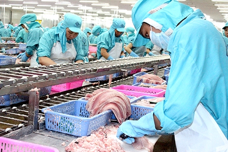 Liên kết: “Chìa khóa” cho Đồng bằng sông Cửu Long phát triển