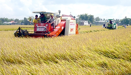 Tăng khả năng cạnh tranh 
sản phẩm nông nghiệp