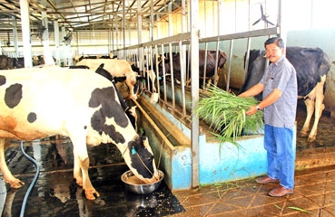 Không dễ như mong đợi