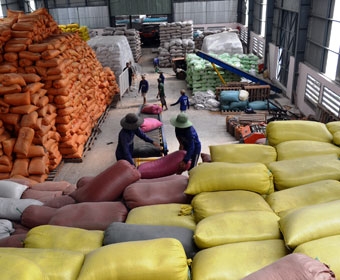 Điển hình tiên tiến 
trong phong trào hợp tác