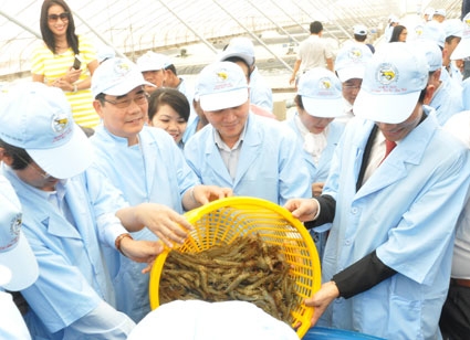 “Phép nhân”  cho bài toán nuôi tôm siêu thâm canh