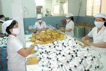 Tiền Giang nỗ lực 
đưa chỉ số PCI vào tốp khá