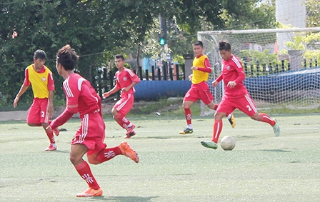 Cần Thơ sử dụng “cây nhà lá vườn”