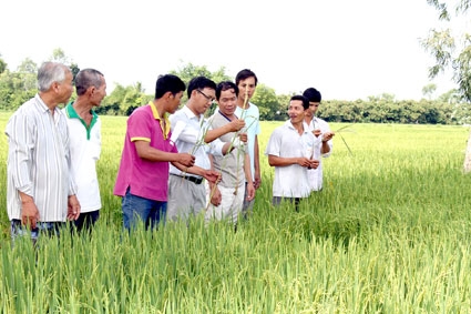 KHẲNG ĐỊNH VỊ THẾ NGƯỜI NÔNG DÂN TRONG XU THẾ HỘI NHẬP