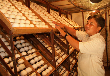 NGÀY MỚI TRÊN NHỮNG VÙNG ĐẤT CÁCH MẠNG