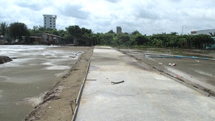 Đất nền khởi sắc