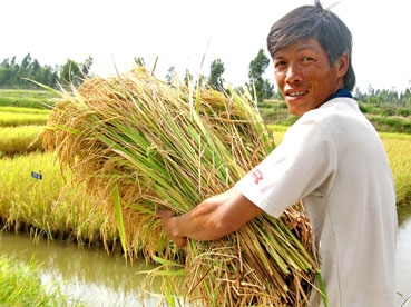 20 NĂM, TIẾNG NÓI TỪ VÙNG TÔM  LÚA